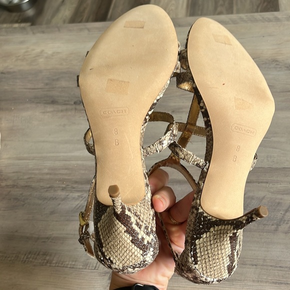 Coach Hayden Snakeskin Kitten Heels NWT No Box Size 8 - Picture 5 of 7